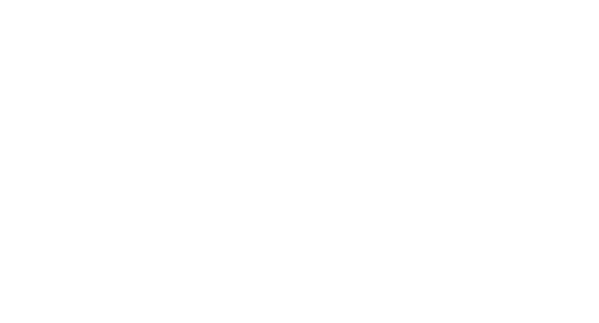 WordPress-white